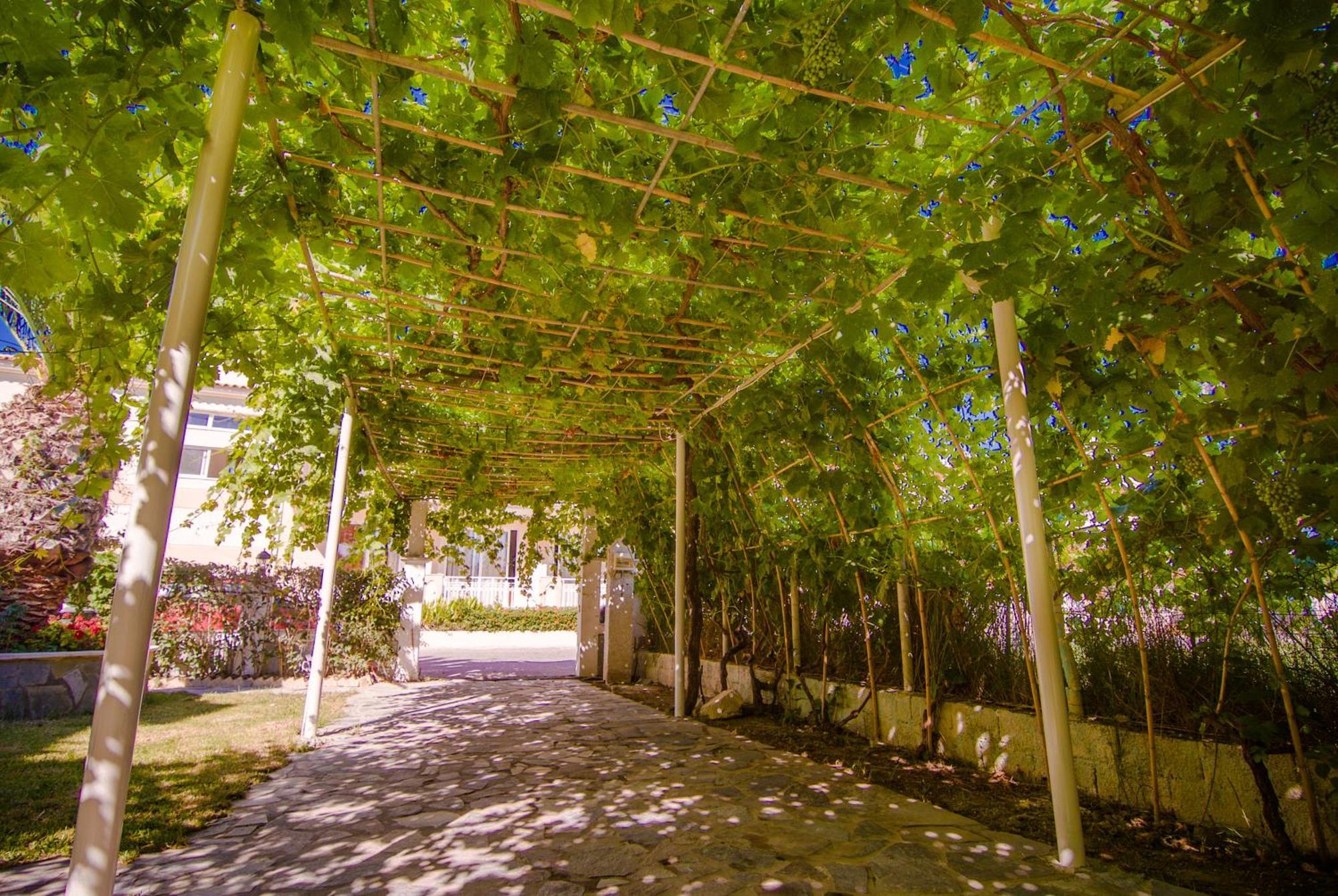 Sea Side Studios Tsilivi  Luaran gambar